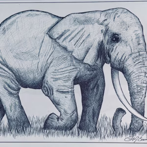 Elephant 1